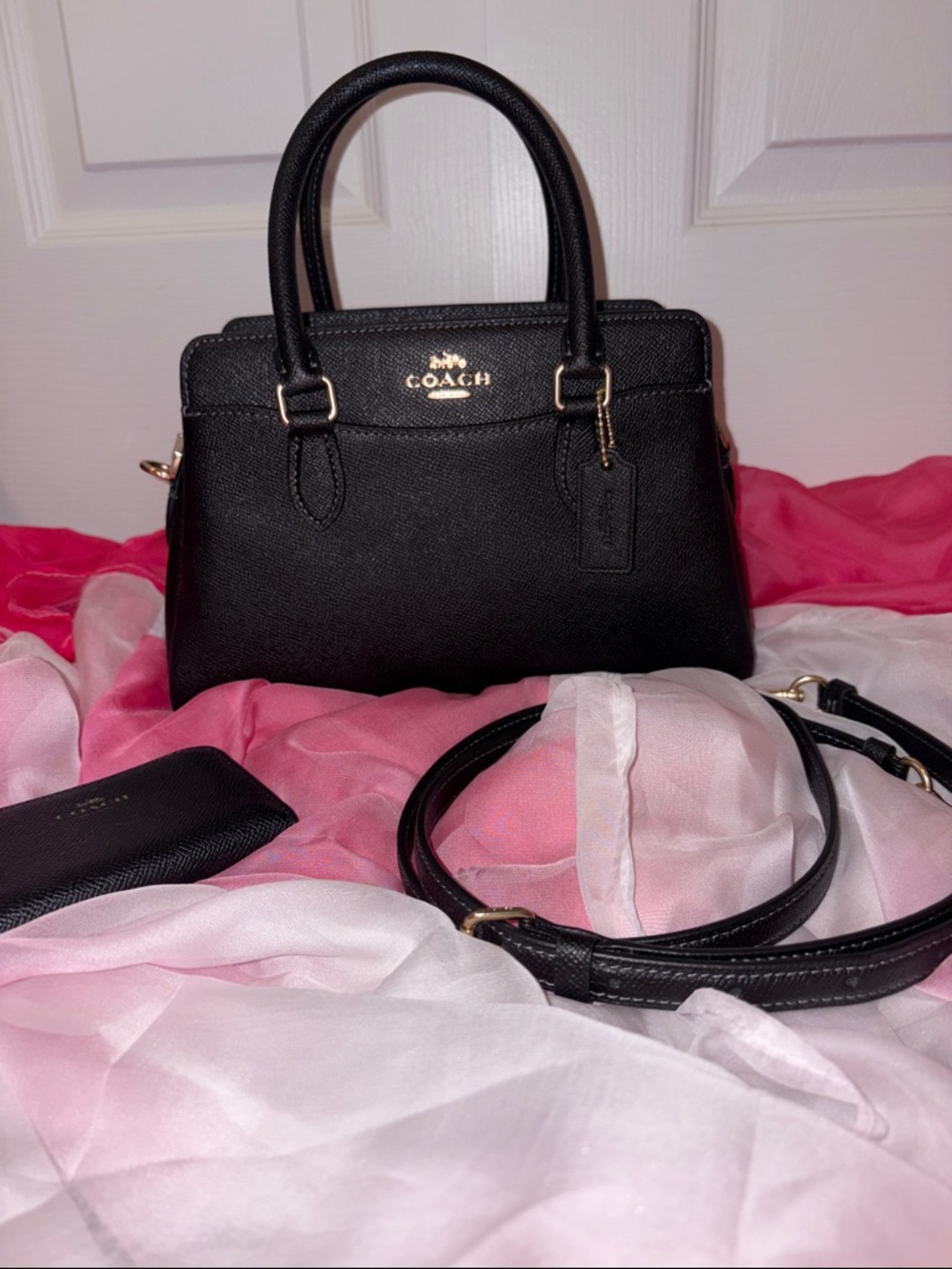 COACH Mini Darcie carryall Bag *INCLUDES FREE MINI WALLET*